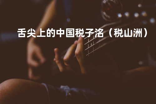 舌尖上的中国 - 税子洺(税山洲)