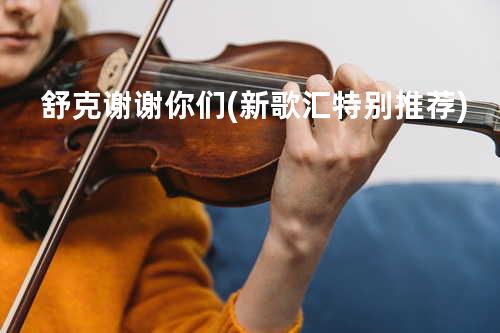 舒克-谢谢你们(新歌汇特别推荐)