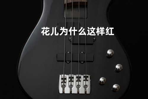 花儿为什么这样红