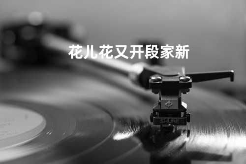 花儿花又开 - 段家新