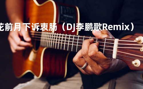花前月下诉衷肠(DJ李鹏歌Remix)