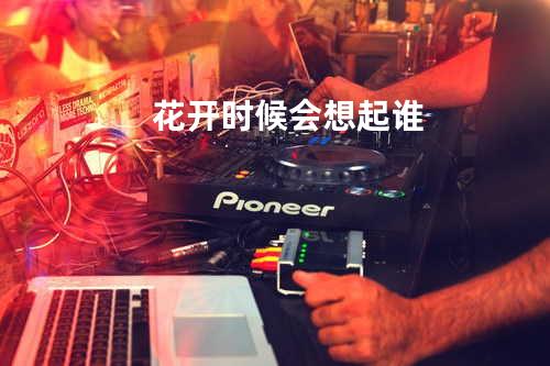 花开时候会想起谁