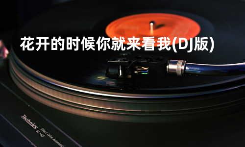 花开的时候你就来看我 (DJ版)