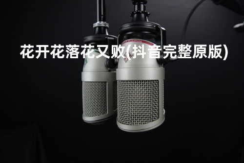 花开花落花又败(抖音完整原版)