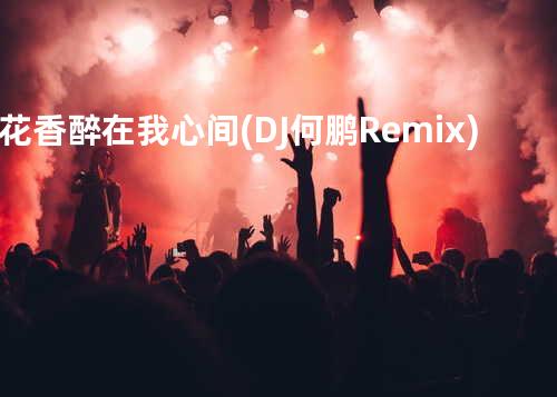 花香醉在我心间(DJ何鹏 Remix)