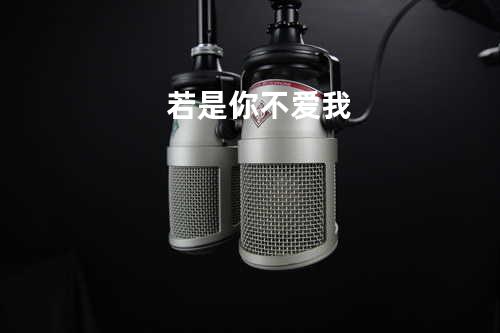 若是你不爱我
