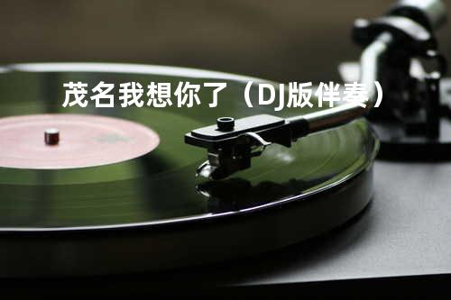 茂名我想你了(DJ版伴奏)