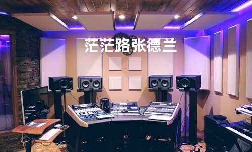 茫茫路 - 张德兰