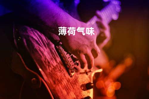 薄荷气味