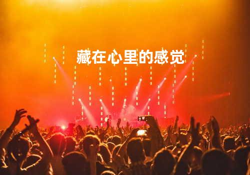 藏在心里的感觉