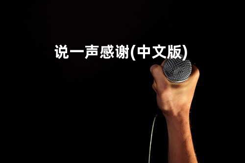 说一声感谢 (中文版)