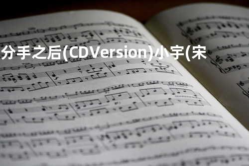 说分手之后(CD Version) - 小宇(宋念宇)