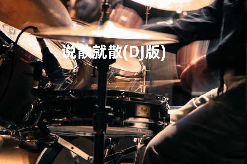 说散就散 (DJ版)