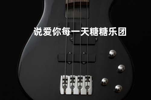 说爱你每一天 - 糖糖乐团