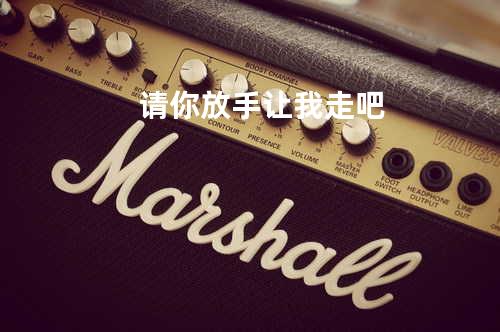 请你放手让我走吧