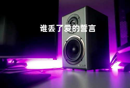 谁丢了爱的誓言