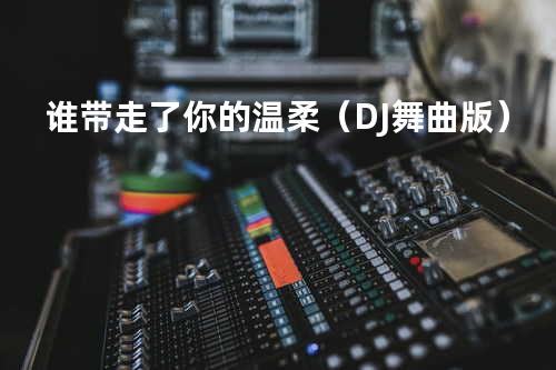谁带走了你的温柔(DJ舞曲版)