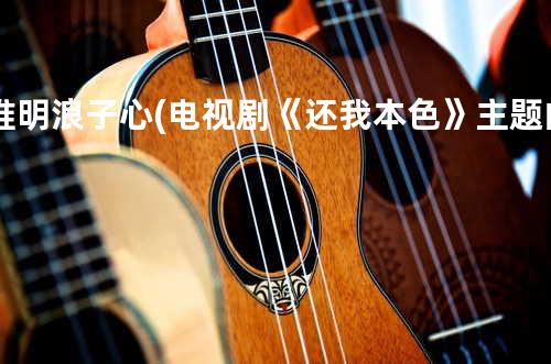 谁明浪子心 (电视剧《还我本色》主题曲)