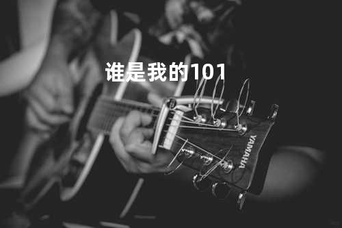 谁是我的101