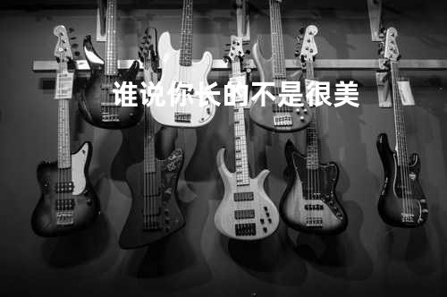 谁说你长的不是很美