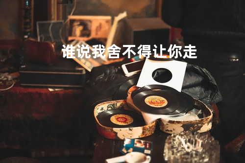 谁说我舍不得让你走