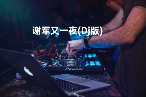 谢军-又一夜(Dj版)