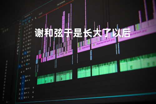 谢和弦 - 于是长大了以后