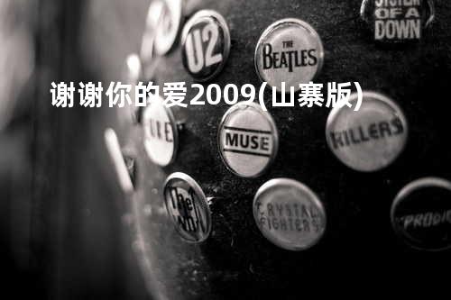 谢谢你的爱2009(山寨版)