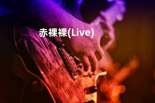 赤裸裸 (Live)