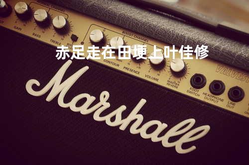 赤足走在田埂上 - 叶佳修