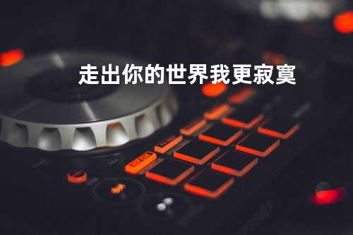 走出你的世界我更寂寞