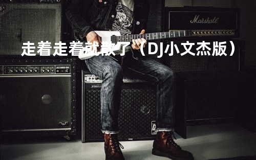 走着走着就散了(DJ小文杰版)