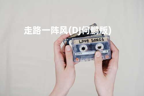 走路一阵风 (DJ何鹏版)
