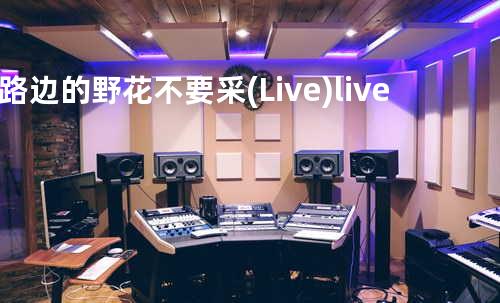路边的野花不要采(Live) - live