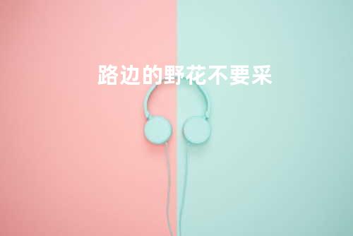 路边的野花不要采