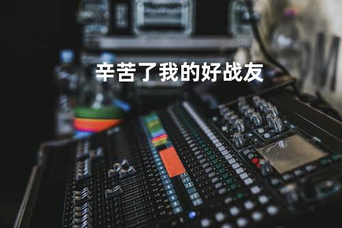 辛苦了 我的好战友