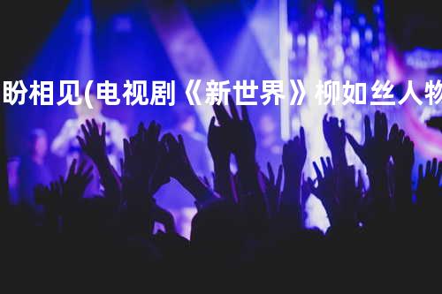 还盼相见 (电视剧《新世界》柳如丝人物主题曲)