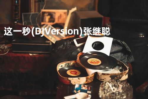 这一秒(DJ Version) - 张继聪