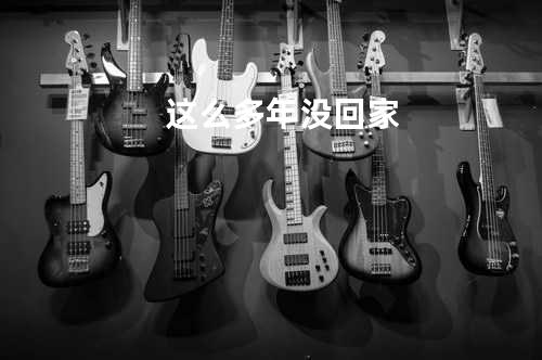 这么多年没回家