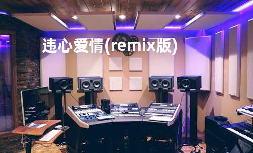 违心爱情(remix版)