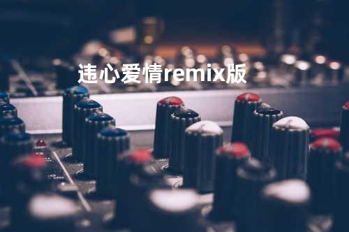违心爱情remix版