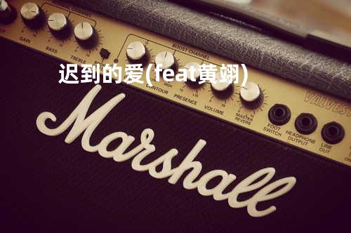 迟到的爱 (feat. 黄翊)