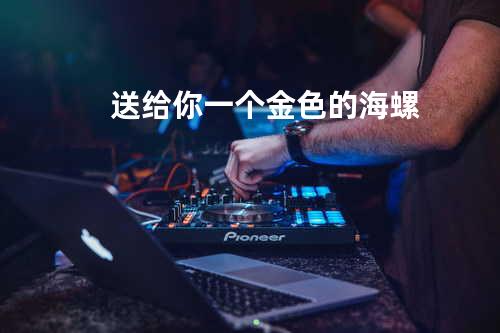 送给你一个金色的海螺