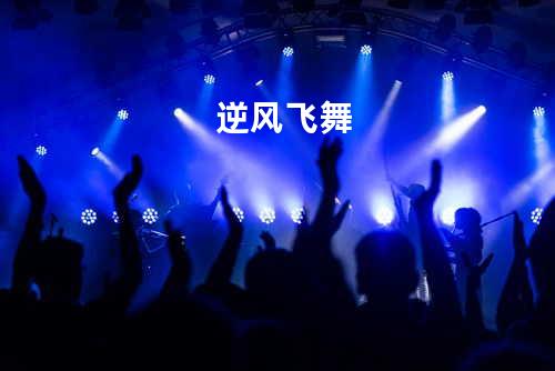 逆风飞舞