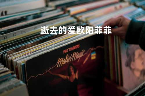 逝去的爱 - 欧阳菲菲