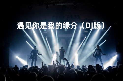 遇见你是我的缘分(DJ版)