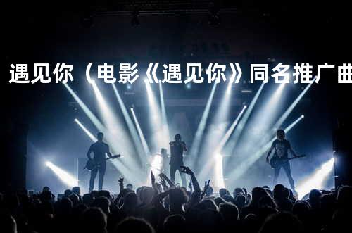 遇见你(电影《遇见你》同名推广曲)