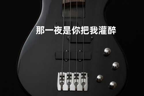 那一夜是你把我灌醉