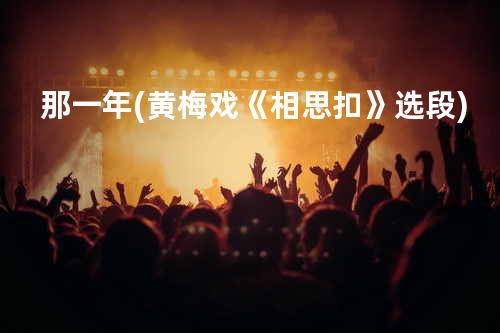 那一年(黄梅戏《相思扣》选段)