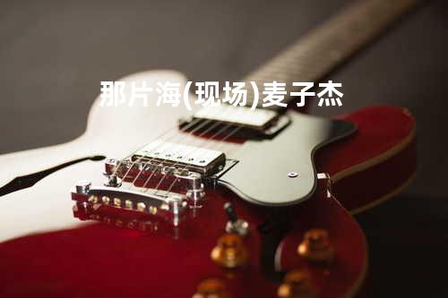 那片海(现场) - 麦子杰